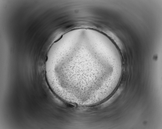 X0000103451385200810241135