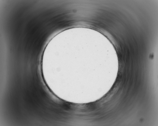 X0000103451387200810241135