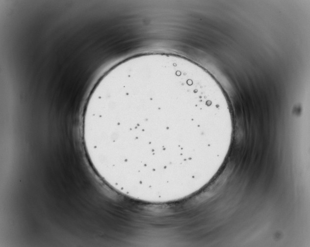 X0000103451388200810241135