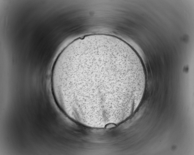 X0000103451389200810241135