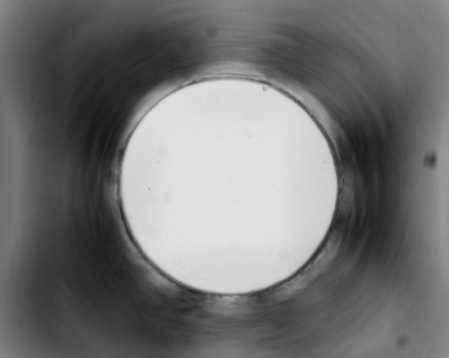 X0000103451390200810241135