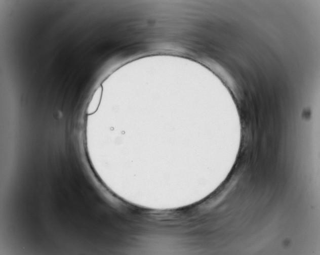 X0000103451391200810241135