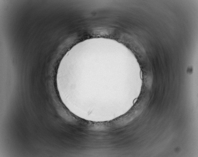 X0000103451393200810241134