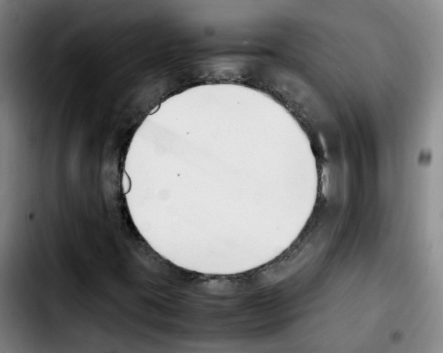 X0000103451395200810241134