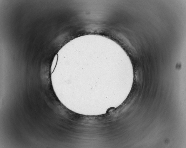 X0000103451396200810241134