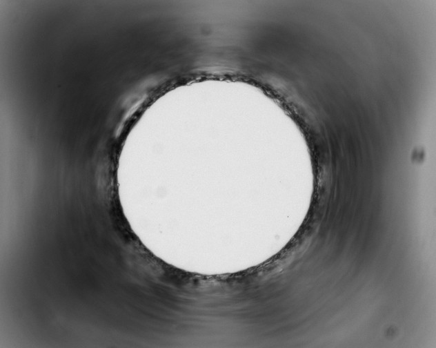 X0000103451398200810241134