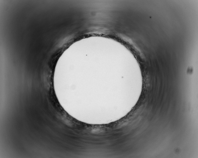 X0000103451399200810241134