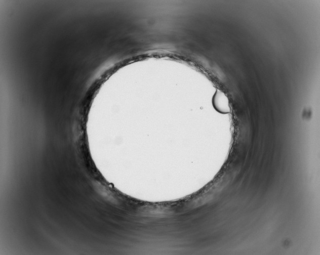 X0000103451400200810241134