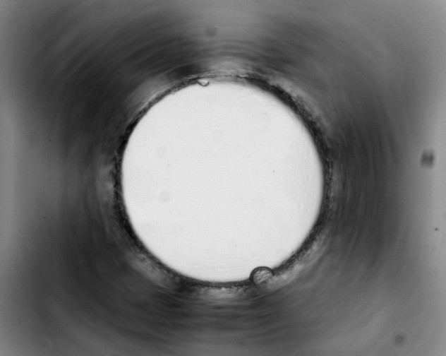 X0000103451401200810241134