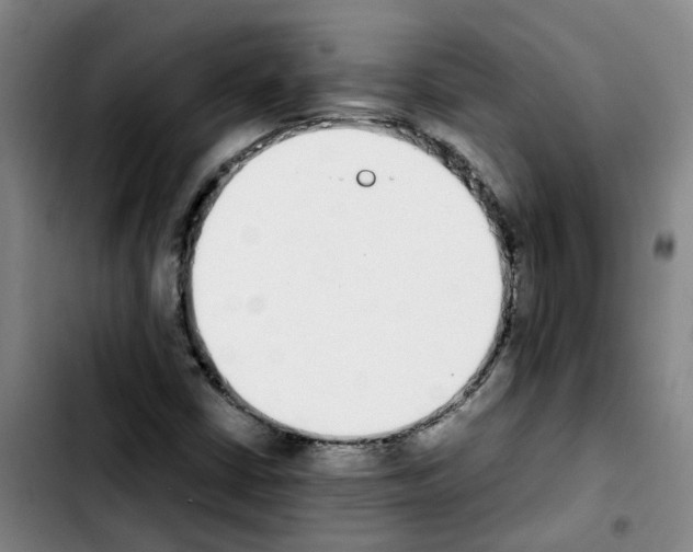 X0000103451402200810241134