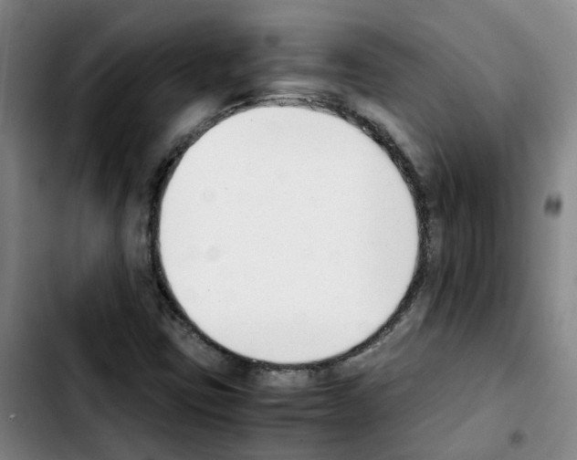 X0000103451403200810241134