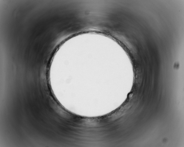 X0000103451404200810241134