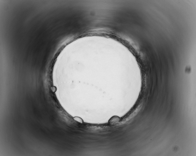 X0000103451405200810241134