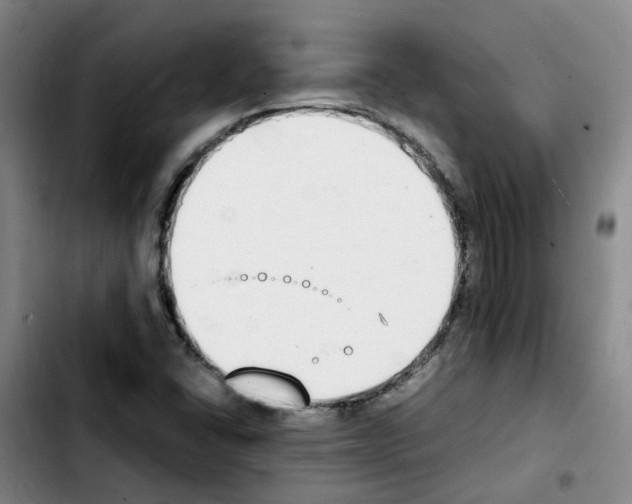 X0000103451406200810241134