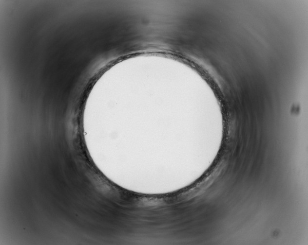 X0000103451407200810241134