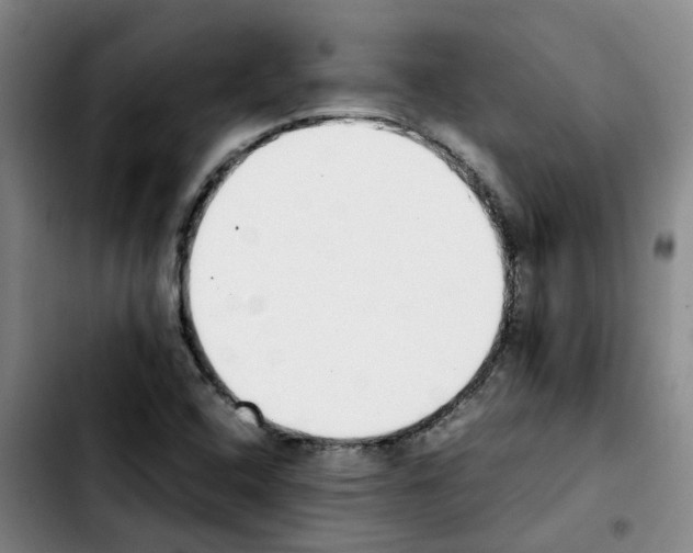 X0000103451408200810241134