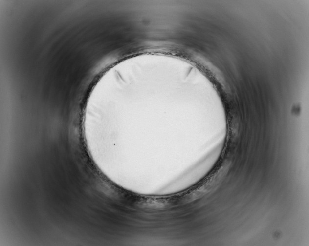 X0000103451411200810241134