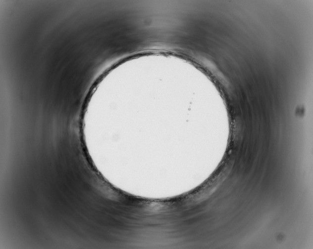 X0000103451412200810241134