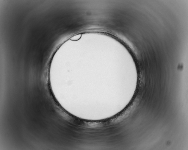 X0000103451413200810241134