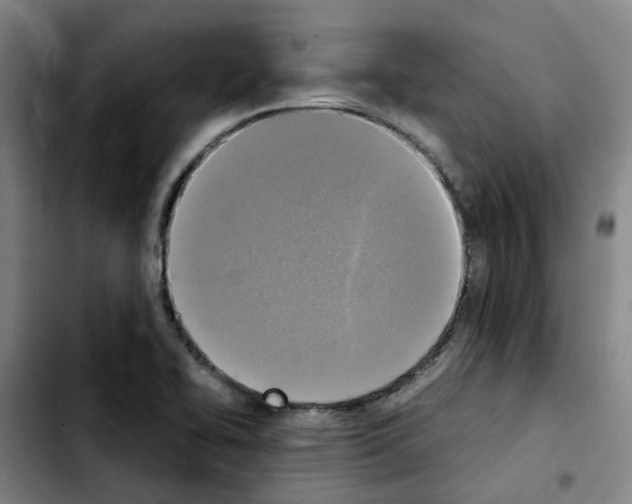 X0000103451414200810241134