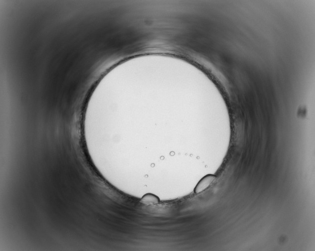 X0000103451415200810241134