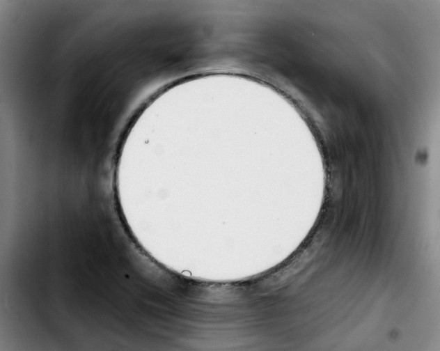 X0000103451416200810241134