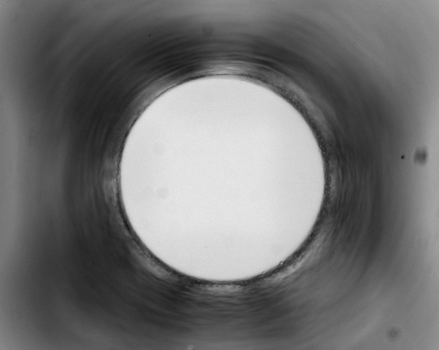 X0000103451417200810241134