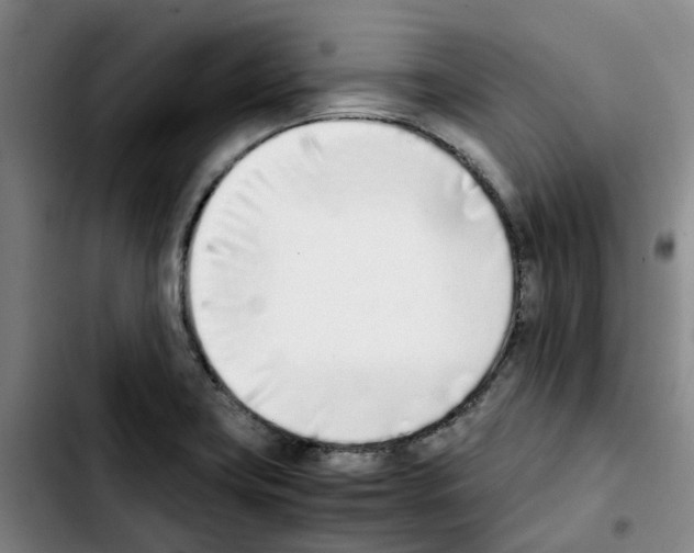 X0000103451419200810241134