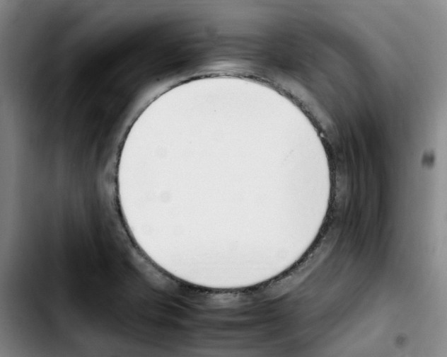 X0000103451421200810241134