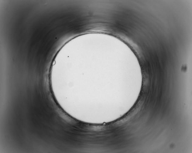 X0000103451423200810241134