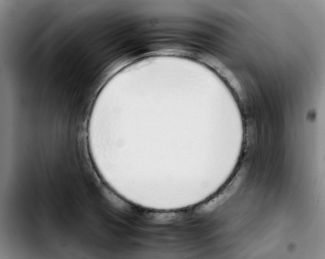 X0000103451425200810241134