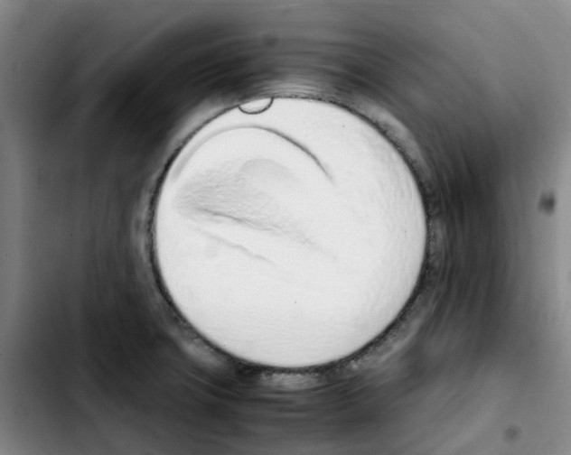 X0000103451427200810241135