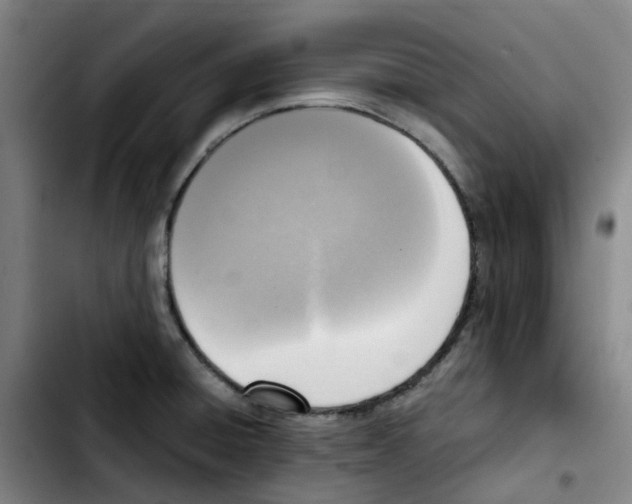 X0000103451428200810241135