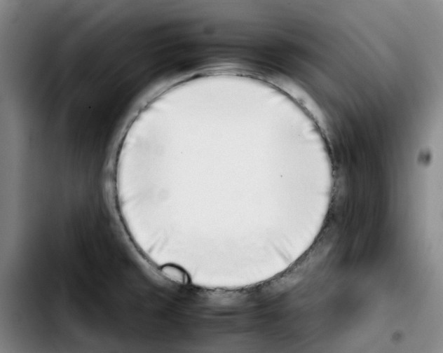 X0000103451429200810241135