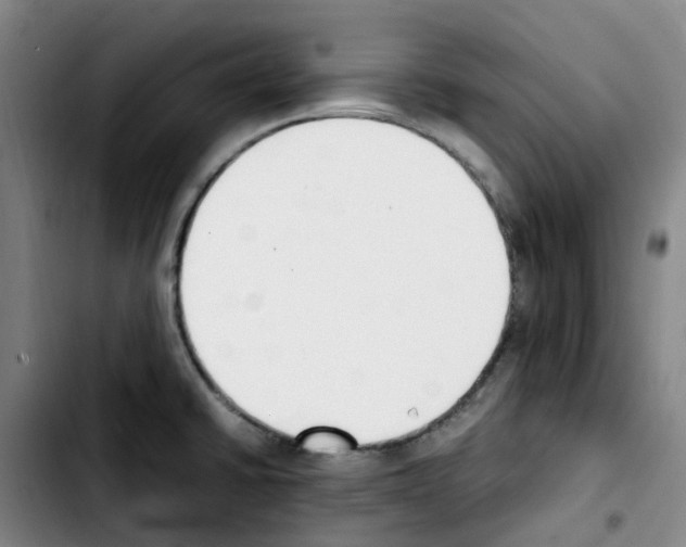 X0000103451430200810241135