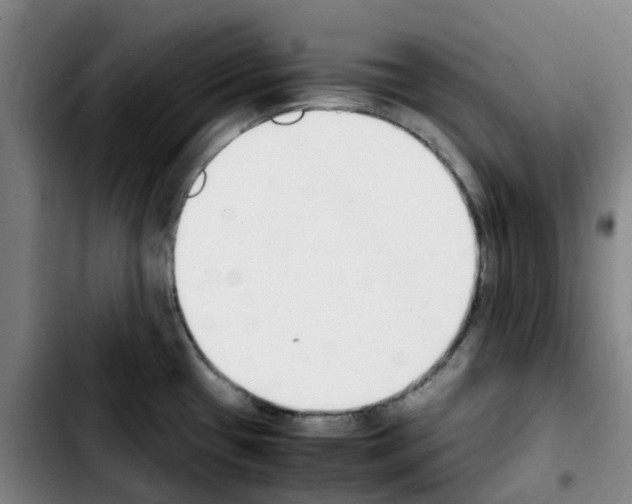 X0000103451433200810241135