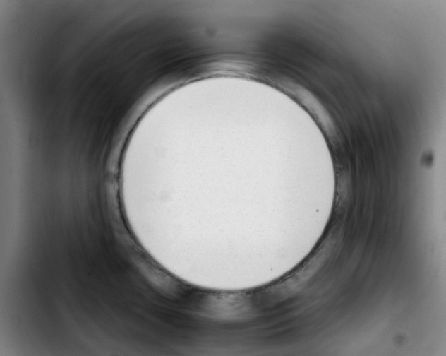 X0000103451435200810241135