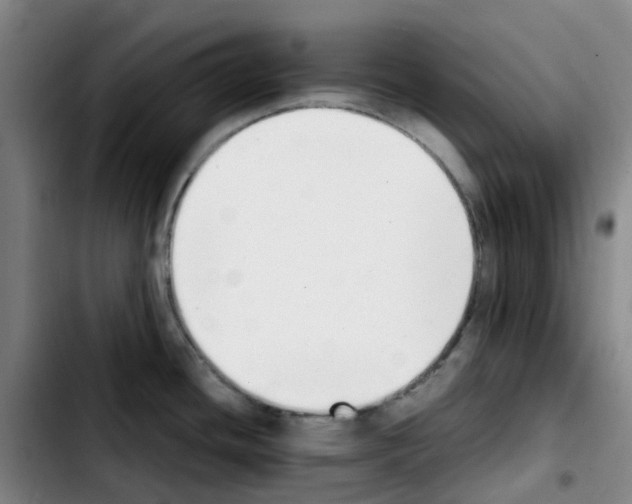 X0000103451436200810241135