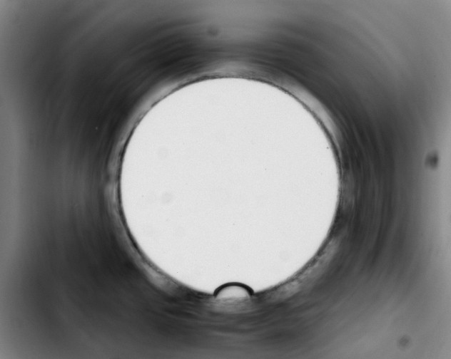 X0000103451437200810241135