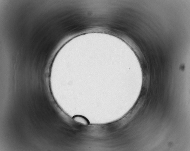 X0000103451438200810241135