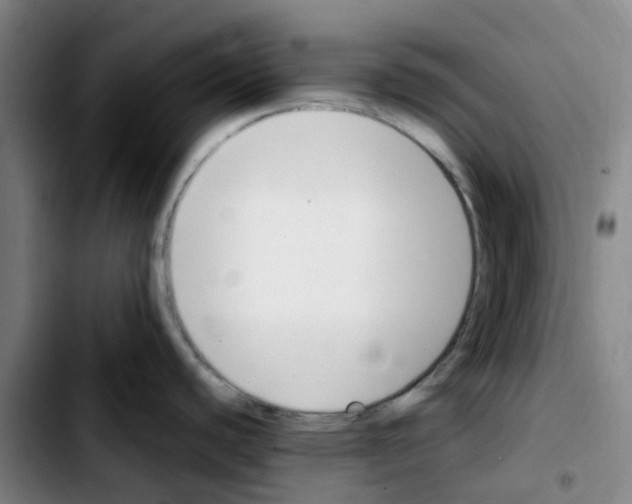 X0000103451440200810241135