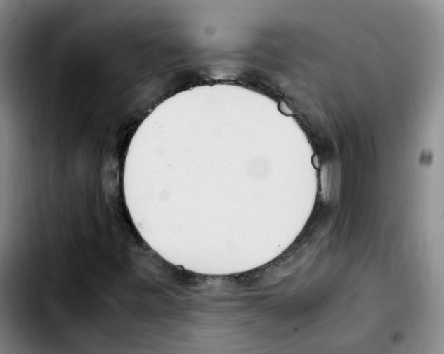 X0000103451443200810241134