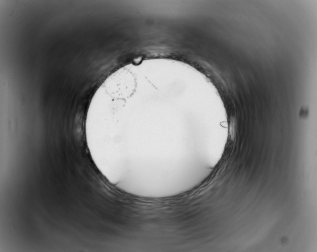 X0000103451444200810241134