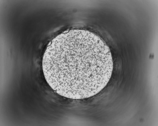 X0000103451445200810241134