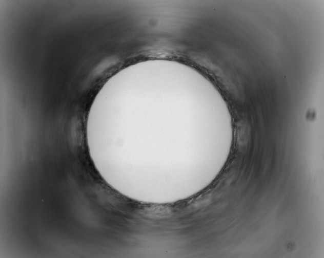 X0000103451446200810241134