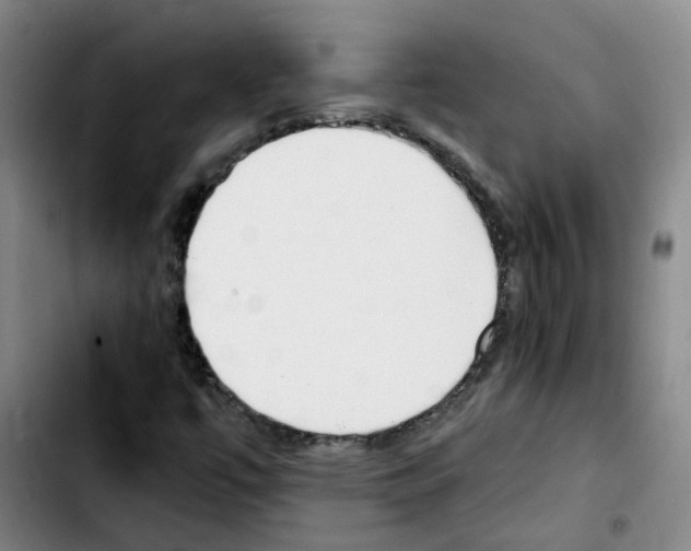 X0000103451447200810241134