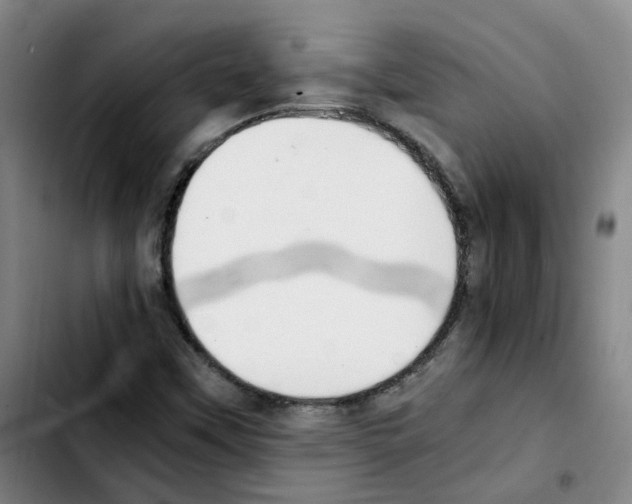 X0000103451451200810241134