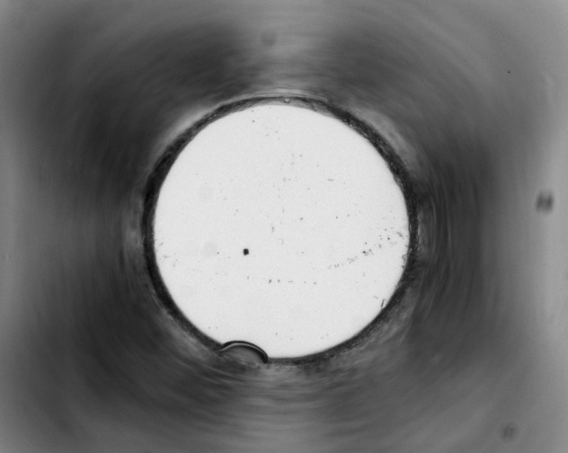 X0000103451452200810241134