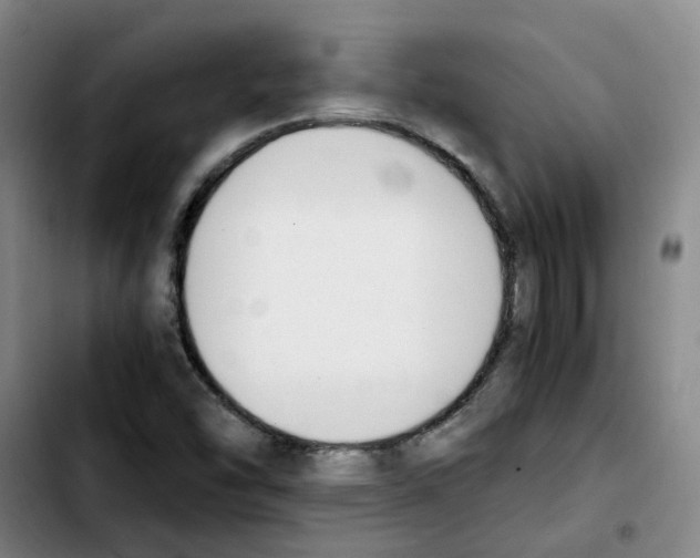 X0000103451454200810241134