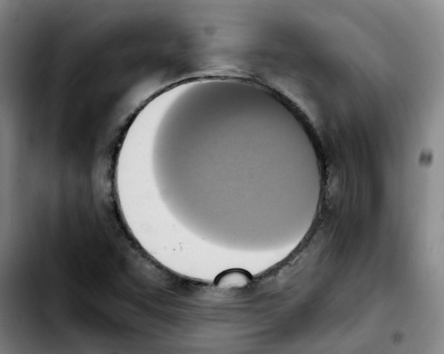 X0000103451455200810241134